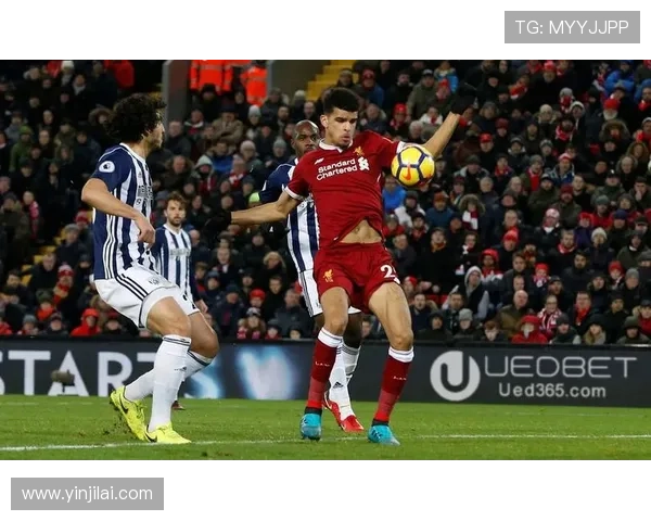 UEd体育入口开启多平台无缝连接，打造极致体育赛事观看新体验