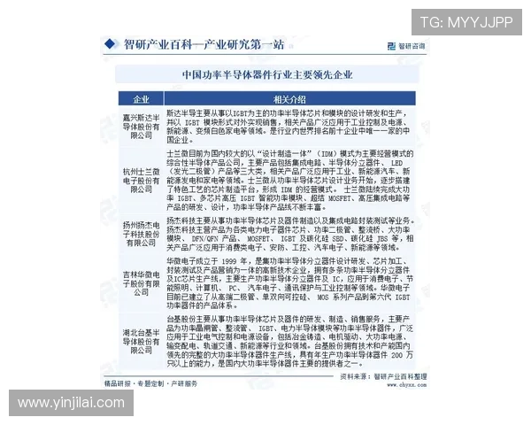 九游体育VIP直营未来发展趋势分析把握行业动态实现持续盈利